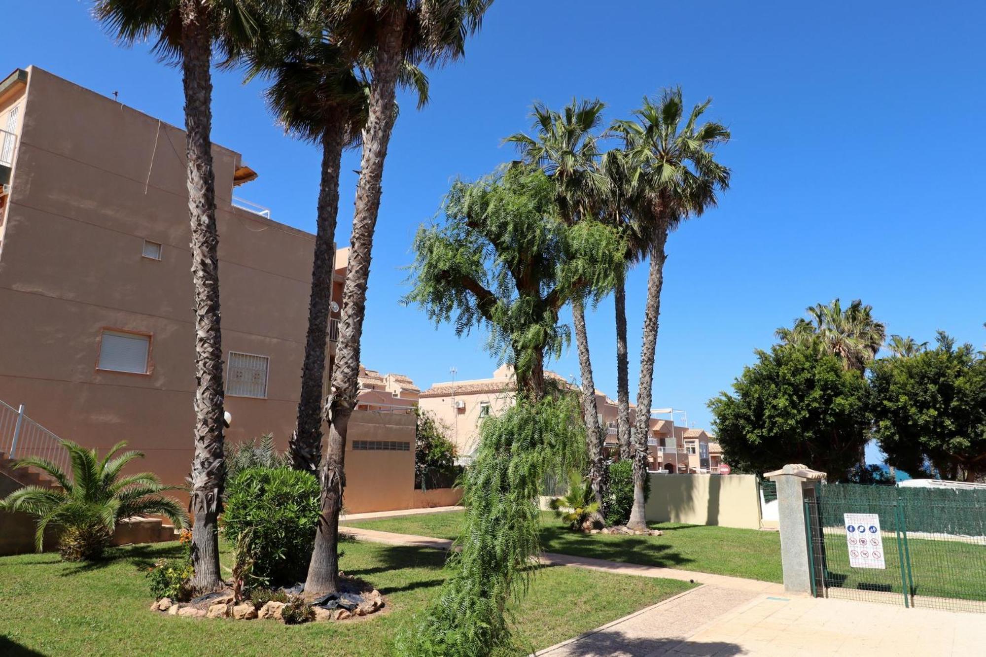 Apartamento Casa De Alba Cabo Cervera La Mata Torrevieja Eksteriør bilde